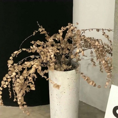 兽设家庭场景绘制兽圈社群